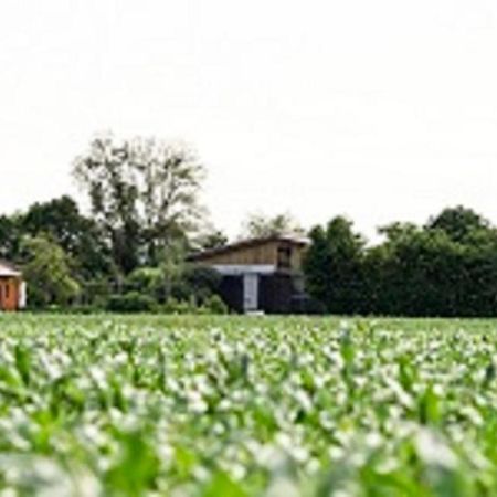 Hofheim in UnterfrankenDemeterhof Duenningerアパートメント エクステリア 写真