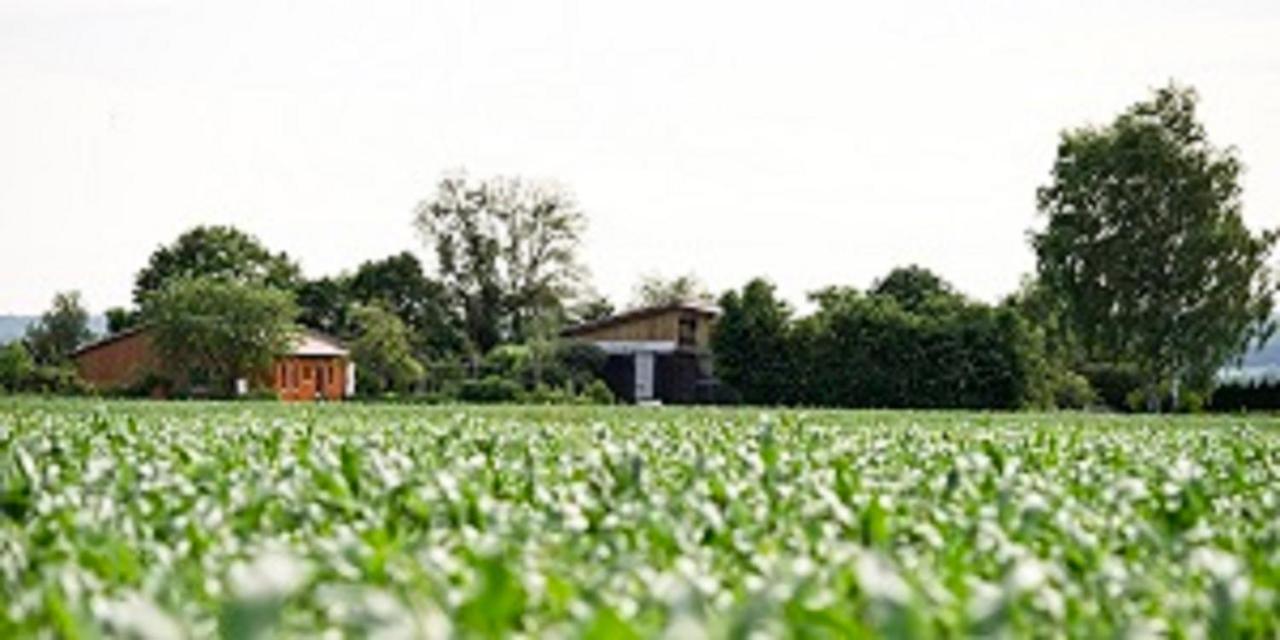 Hofheim in UnterfrankenDemeterhof Duenningerアパートメント エクステリア 写真